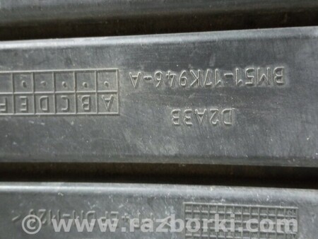 ФОТО Решітка радіатора для Ford Focus 2 (08.2004 - 07.2010) Чернигов