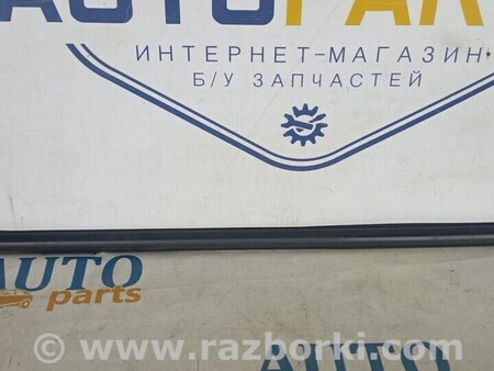 ФОТО Молдинги для Opel Astra K (15-21) Чернигов