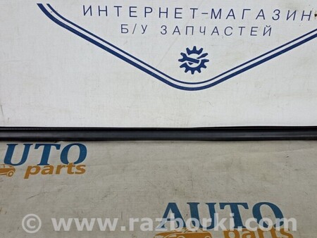 ФОТО Молдинги для Opel Astra K (15-21) Чернигов