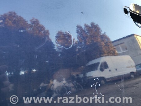 ФОТО Двері для KIA Carnival 2 (06-14) Чернигов