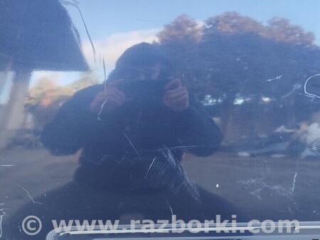 ФОТО Двері для KIA Carnival 2 (06-14) Чернигов