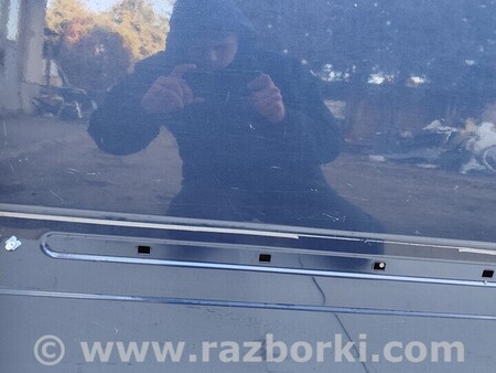 ФОТО Двері для KIA Carnival 2 (06-14) Чернигов