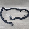 ФОТО Патрубок системы охлаждения для Ford Focus 2 (08.2004 - 07.2010) Чернигов
