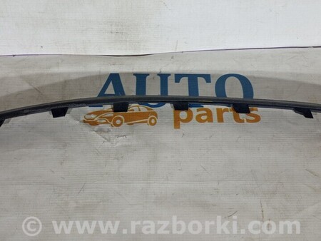 ФОТО Молдинги для Citroen C3 Чернигов