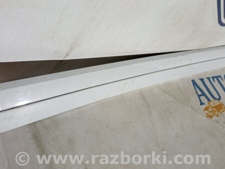 ФОТО Молдинги для Volkswagen Passat B8 (2014-2023) Чернигов