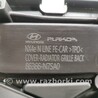 ФОТО Решітка радіатора для Hyundai Tucson (різні) (04-25) Чернигов