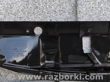 ФОТО Накладки для KIA Carnival 2 (06-14) Чернигов