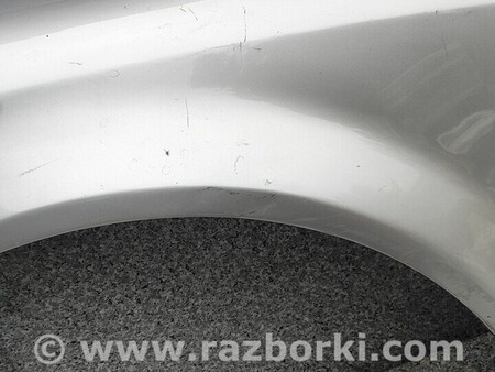 ФОТО Крила для Audi (Ауди) A4 V B9 - 8W (2015-) Чернигов