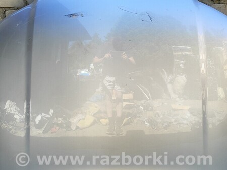ФОТО Капот для Audi (Ауди) A4 V B9 - 8W (2015-) Чернигов
