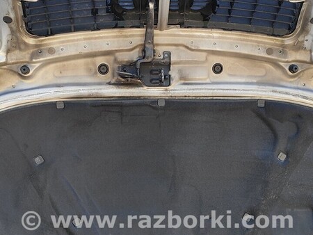 ФОТО Капот для Audi (Ауди) A4 V B9 - 8W (2015-) Чернигов