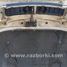 ФОТО Капот для Audi (Ауди) A4 V B9 - 8W (2015-) Чернигов