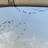 ФОТО Капот для KIA Ceed 2 JD (12-18) Чернигов