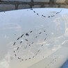 ФОТО Капот для KIA Ceed 2 JD (12-18) Чернигов