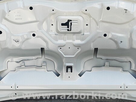 ФОТО Капот для Renault Trafic 3 (2014-...) Чернигов