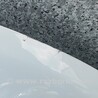 ФОТО Капот для Renault Trafic 3 (2014-...) Чернигов