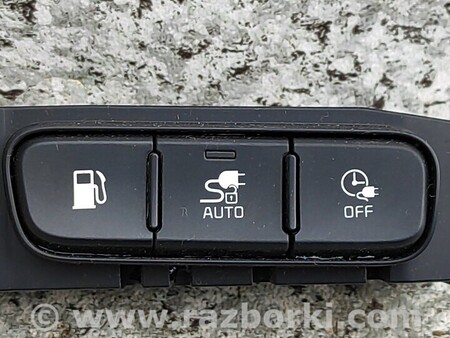 ФОТО Кнопки для KIA Niro 1 DE (16-22) Чернигов