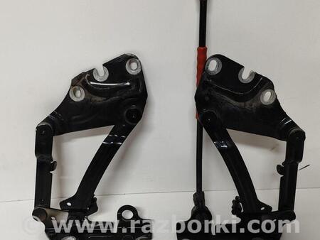 ФОТО Петлі для Volkswagen Golf Plus Mk5 (12.2004-09.2014) Чернигов