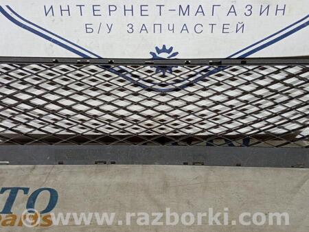 ФОТО Решітка радіатора для Ford Focus 2 (08.2004 - 07.2010) Чернигов