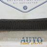 ФОТО Решітка радіатора для Ford Focus 2 (08.2004 - 07.2010) Чернигов