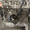 №239 Двигун 9KT766 для Clio III 1.9DCI 05-12 Renault Clio III (05-12)