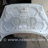 ФОТО №280 Капот 2002312 для MK 7 13-17 для Ford Fiesta (все модели) Львів
