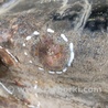 ФОТО Паливний бак для Mitsubishi Pajero IV V83-V88 (06-21) Київ