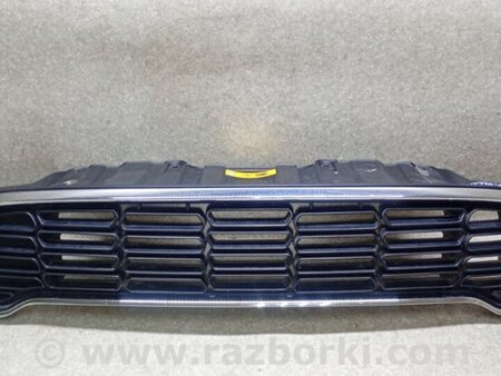 ФОТО Решітка радіатора для MINI R60 Countryman (06-16) Київ
