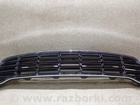 ФОТО Решітка радіатора для MINI R60 Countryman (06-16) Київ