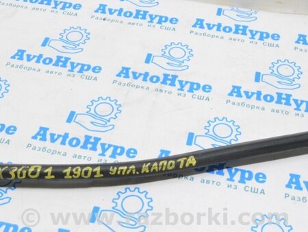 ФОТО Уплотнитель капота передний для BMW X3 III G01 (17-24) Одеса