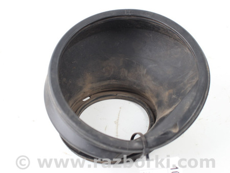 ФОТО Пыльник лючка бака для Toyota RAV-4 V XA50 (18-25) Київ