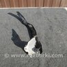 ФОТО Кронштейн/кріплення фари для Subaru Outback III BP/BL (03-09) Київ
