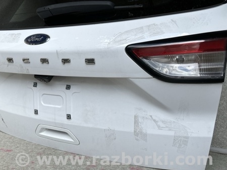 ФОТО Кришка багажника для Ford Escape 4 (01.2018-...) Київ