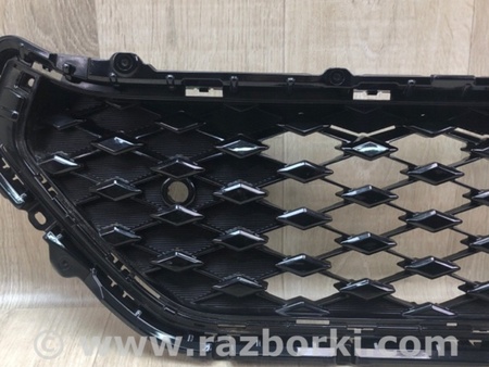 ФОТО Решітка радіатора для Toyota RAV-4 V XA50 (18-25) Київ