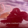 ФОТО Двері для Hyundai Accent 3 MC (05-11) Київ