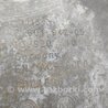 ФОТО Піддон двигуна для BMW X3 II F25 (10-17) Київ