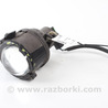 Фара противотуманная правая Lexus RX300/330/350/400 (03-09)