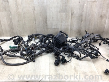 ФОТО Проводка підкапотна для Honda Accord IX Coupe CT (12-17) Київ