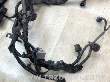 ФОТО Проводка підкапотна для Honda Accord IX Coupe CT (12-17) Київ