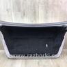ФОТО Кришка багажника для Nissan Sentra B17 (12-19) Київ