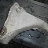 Подушка для Volkswagen Golf III Mk3 (09.1991-06.2002) Львов 1K0199354A