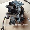 Цапфа задняя правая для Toyota RAV-4 (05-12) Киев 4230442020