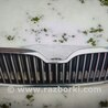 Решетка радиатора для Skoda Superb Харьков