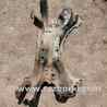 Балка передняя для Toyota RAV-4 (05-12) Киев 5120142071