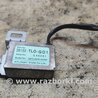 Усилитель антенны для Honda Accord CU (12.2008 - 03.2013) Киев 39155TL0G01