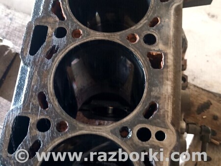 Блок цилиндров для Opel Zafira B Киев Блок двигателя Opel Zafira B 1.9cdti z19dt 55196611