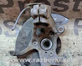 Цапфа передняя левая Skoda Octavia A7 III SE (13-20)