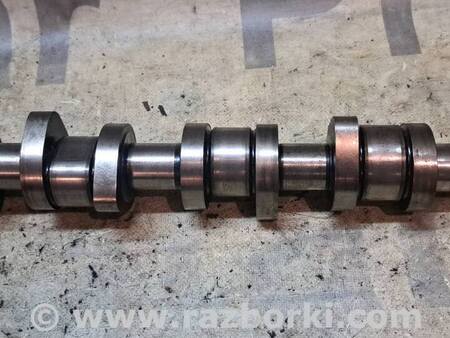 Распредвал для Volkswagen Passat B5 (08.1996-02.2005) Київ 038109101R