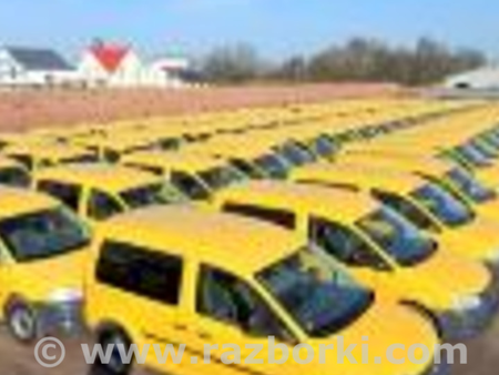 Капот + бампер для Volkswagen Caddy (все года выпуска) Житомир