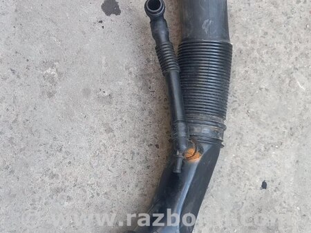 Патрубки разные для Audi (Ауди) A4 (все модели, все года выпуска) Запорожье 06B129627L