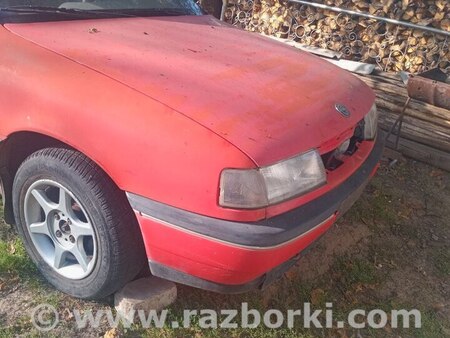 Капот для Opel Vectra A (1988-1995) Горохів